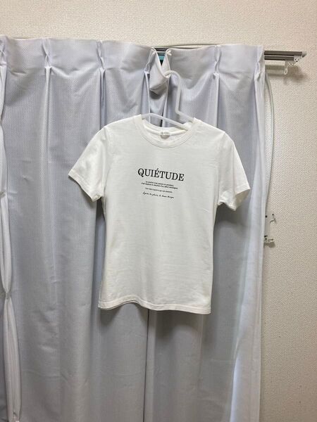 ハニーズ Tシャツ Lサイズ
