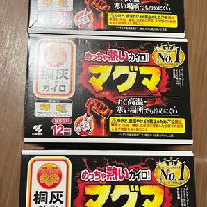 《小林製薬》 桐灰カイロ マグマ (貼らないタイプ) 30個入 ×3
