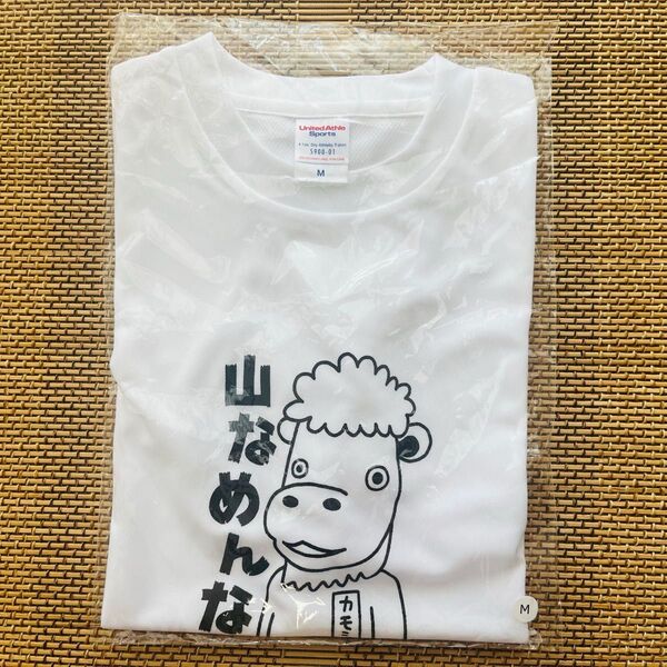 カモシー 山なめんなよ Tシャツ 赤岳鉱泉 行者小屋