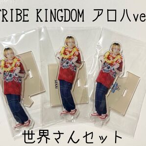 新品・未開封 トライブキングダム アロハver FANTASTICS 世界 アクリルスタンドセット