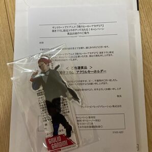 サントリー ヒロアカ ジュリオ
