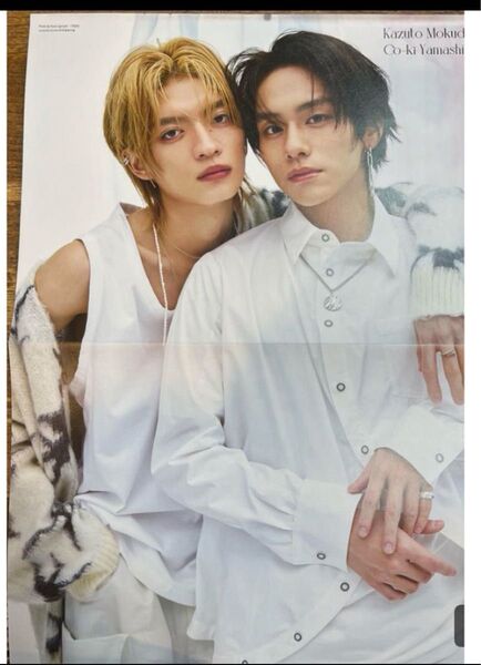 杢代和人×山下幸輝&市川染五郎 両面ピンナップ