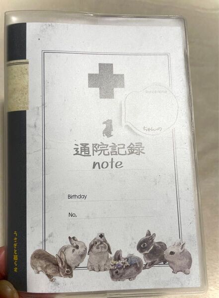 うさぎの通院記録ノート