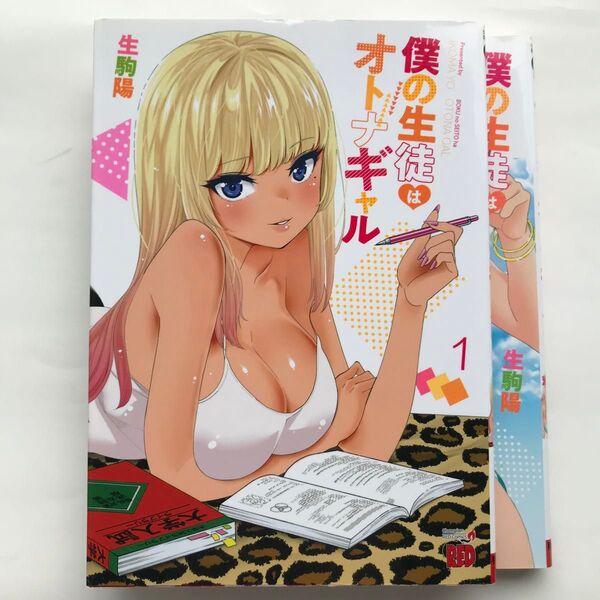 僕の生徒はオトナギャル 1、2巻 初版2冊セット (チャンピオンREDコミックス) 生駒陽/著