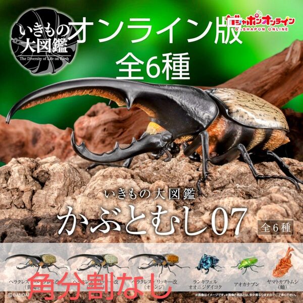 いきもの大図鑑かぶとむし07 全6種フルコンプ オンライン版