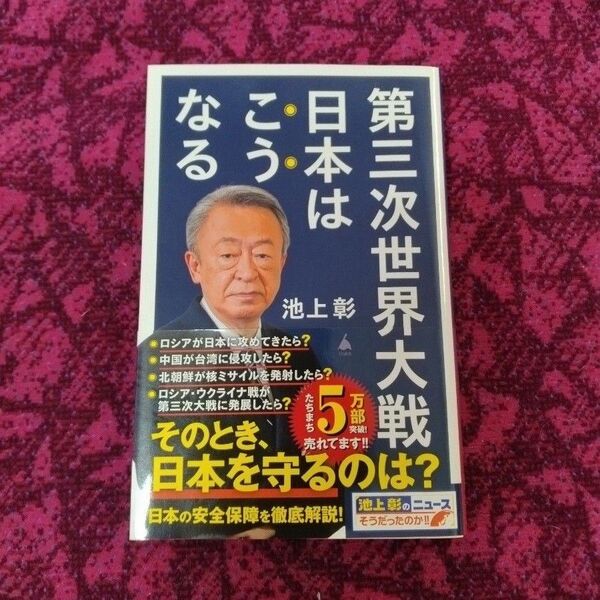 第三次世界大戦日本はこうなる SB新書 池上彰/著