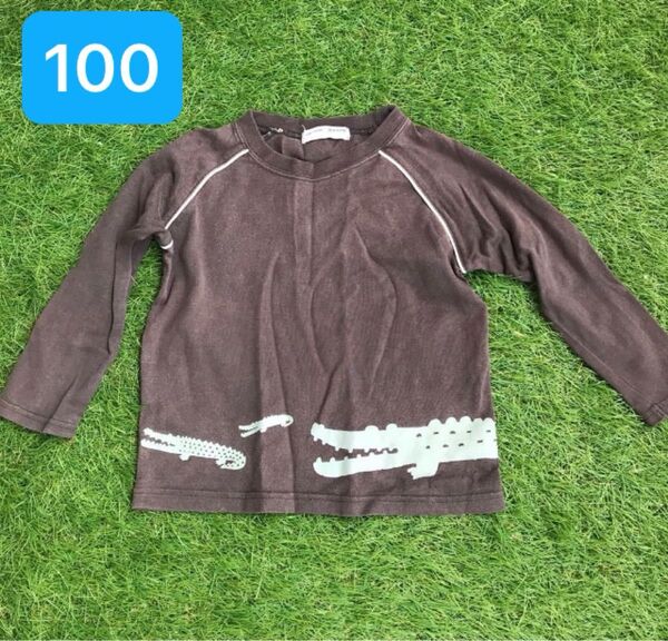 100 ベリーズベリー ワニ めっちゃ可愛い 長袖シャツ トップス チャコールグレー シンプル 男の子 女の子 長袖Tシャツ