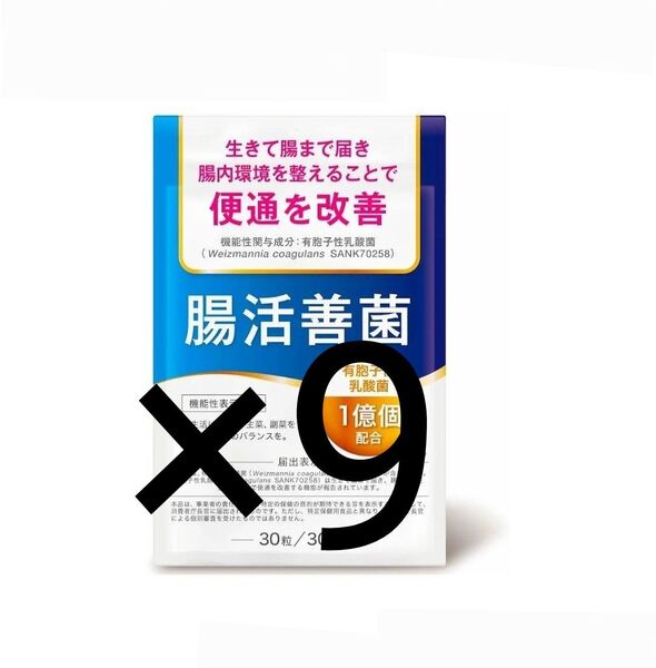 腸活善菌 便通改善 乳酸菌 サプリ 1億個配合 ビフィズス菌 食物繊維 30日分