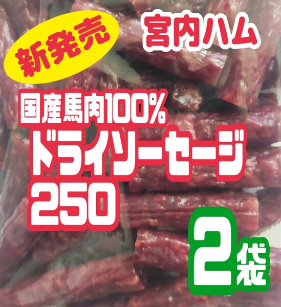 ★宮内ハム・超入手困難★国産馬肉100%ドライソーセージ・アウトレット 2袋