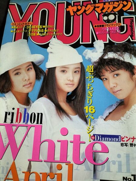 ヤングマガジン 1993 4/19 No.17