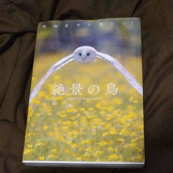 死ぬまでに見たい絶景の鳥 写真集