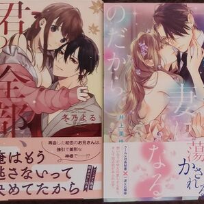 君の奥まで全部、みせて。冬乃よる 君は俺の妻になるのだから 篁ふみ/著 井上美珠/原作