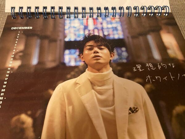 菅田将暉 カレンダー 卓上カレンダー 2019 写真集