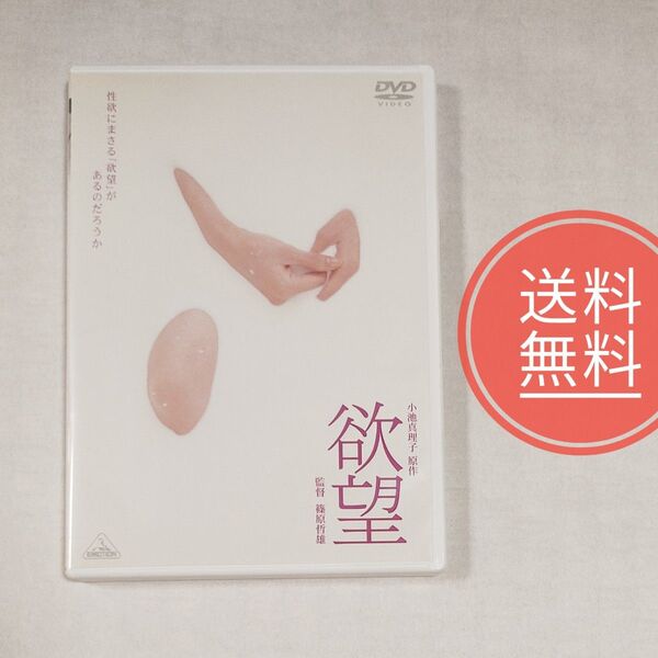 【送料無料】稀少!DVD★小池真理子原作★欲望