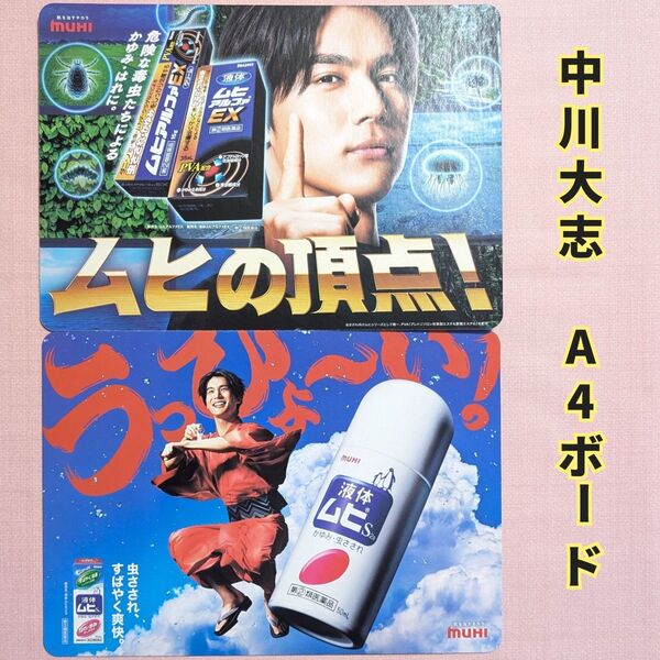 非売品 未使用 中川大志 ムヒ 店頭POP A4ボード 1枚 カテゴリ変更可