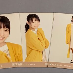 阪口珠美 生写真 コンプ 乃木坂46 ニットカーデ 2019. May-ll