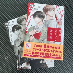 恋はときどき赤信号 (新書館ディアプラス文庫 609) 月村奎/著