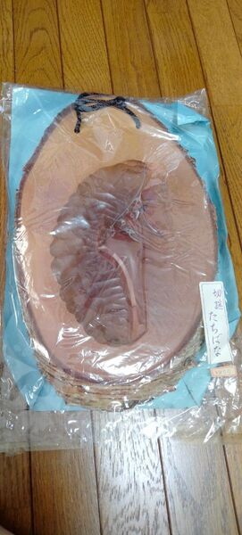 壁掛け 木製 木彫り アイヌ