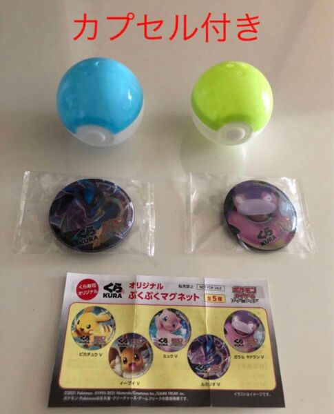 ぷくぷくマグネット ルカリオ ガラルヤドラン