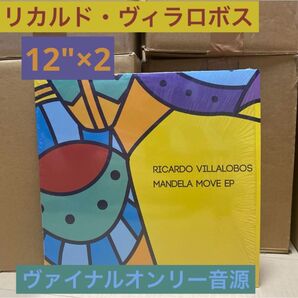 Ricardo Villalobos リカルドヴィラロボス 12"×2 ミニマル ハウス perlon ヴァイナルオンリー音源