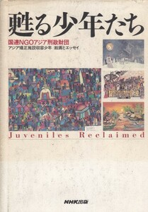 甦る少年たち　アジア矯正施設収容少年　絵画とエッセイ