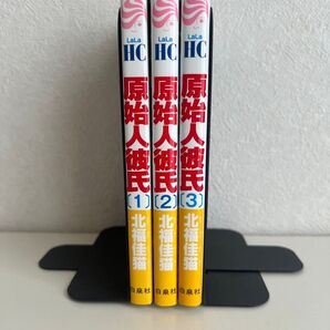 原始人彼氏 1〜3巻セット