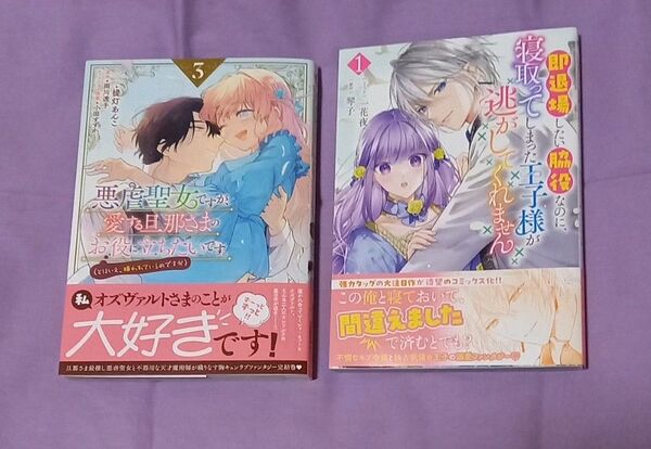 「悪虐聖女ですが、愛する旦那さまのお役に立ちたいです。」他