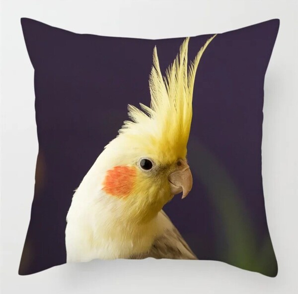 クッションカバー オカメインコ 45cm 薄手 鳥の雑貨 HANAKO