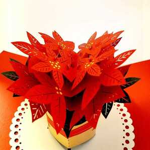 立体カード HANAKO 飛び出す 花のカード ポインセチア 多目的カード クリスマス お礼状
