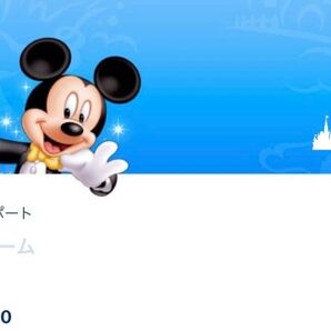 9/30 ディズニーランド ディズニーグッズ購入用 オンラインショッピングチケット オンラインチケット