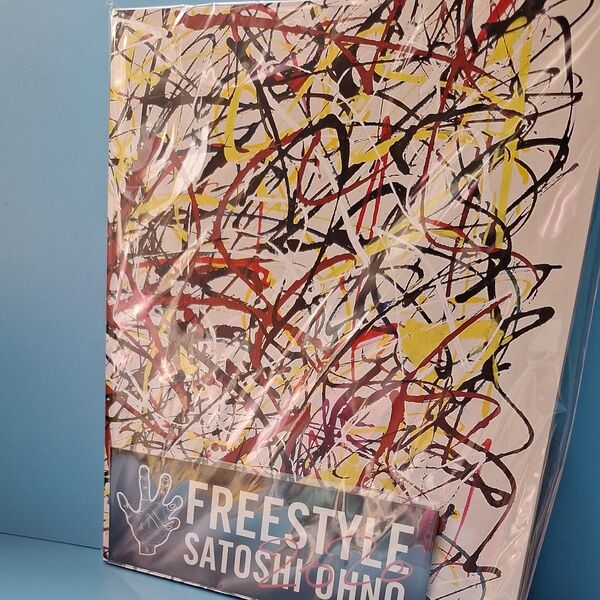 新品未開封 FREE STYLE SATOSHI OHNO 大野智
