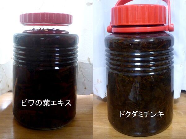 天然無農薬 濃厚びわの葉エキス&どくだみエキス(各90ml)