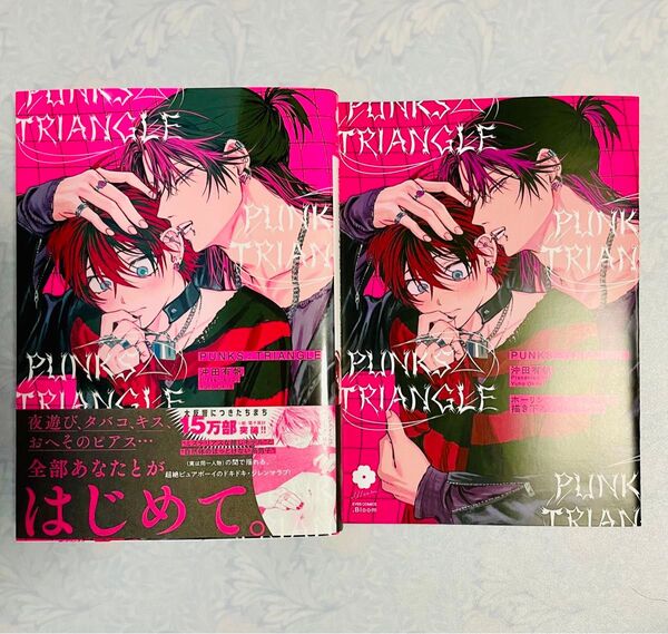 沖田有帆 PUNKS△TRIANGLE ホーリンラブブックス リーフレット付き