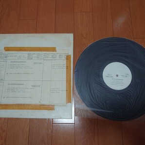 ★Friendship★Lee Ritenour & His Gentle Thoughts★VIDC-3★見本盤★PROMO★SAMPLE★Rare ★ジャケットなし★スリーブ汚れ、傷み★中古LP