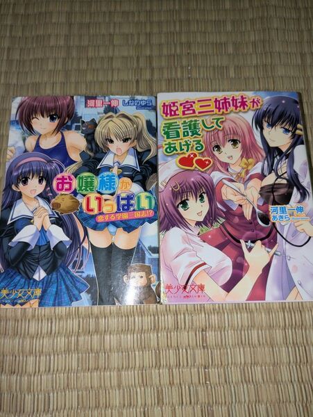 フランス書院官能小説