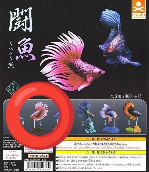 闘魚 赤白 ガチャガチャ フィギュア ベタ