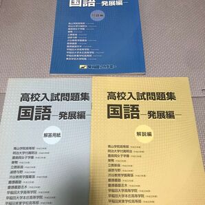 値下 高校入試問題集 国語 発展編 青山 早稲田 慶応他13校 早稲田アカデミー