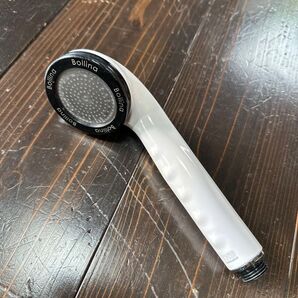 クーポンoff 田中金属製作所 Bollina シャワーヘッド ペットの快適シャワー