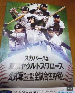 定形外送料無料 東京ヤクルトスワローズ　非売品ポスター　山田哲人　中村悠平　坂口智隆　バレンティン　秋吉亮　石川雅規