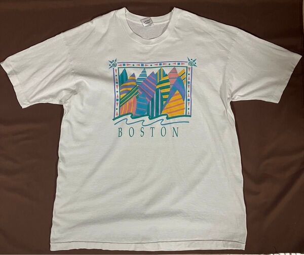 80s 〜 90s USA製 フルーツオブザルーム Tシャツ XL プリントTシャツ シングルステッチ ヴィンテージ