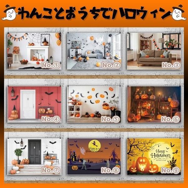 343 HA① ハロウィン 背景布 撮影 タペストリー 飾り おうちフォト