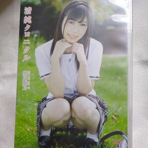 DVD 細川雛乃 清純クロニクル アイドルDVD スパイスビジュアル