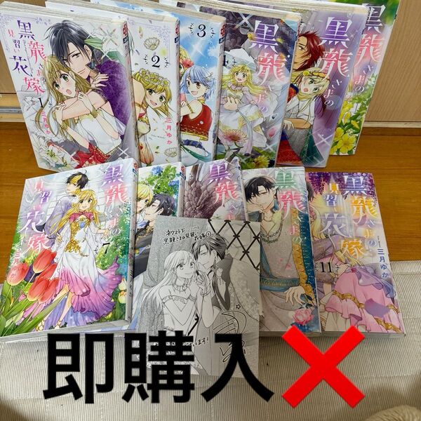 黒龍さまの見習い花嫁 既巻全巻+特典ペーパー1枚