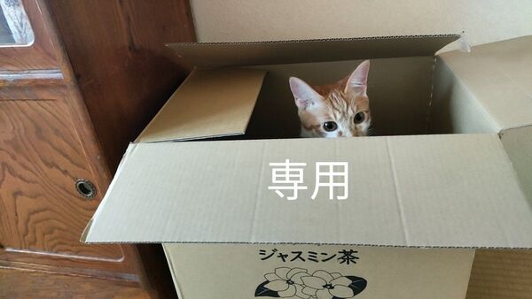 グレーチュールブラウス