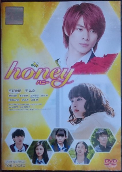 2025年最新】Yahoo!オークション -honey 平野紫耀 dvdの中古品