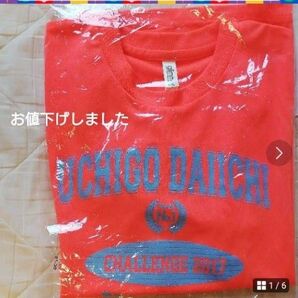 蛍光色のオレンジ系 Tシャツ Sサイズ