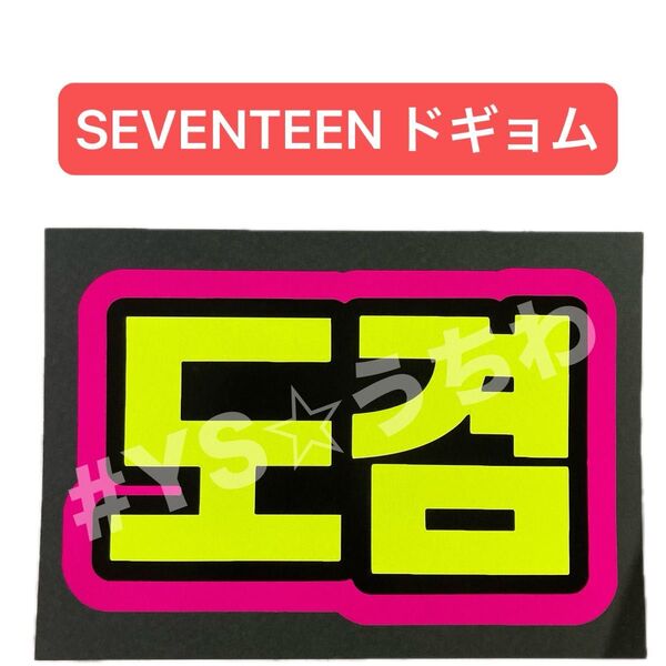 蛍光ネームボード SEVENTEEN セブチ ドギョム