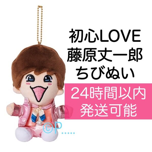 なにわ男子 藤原丈一郎 ちびぬい 初心LOVE 限定 アクスタ 藤原 うちわ ペンライト +Alpha