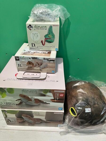一番くじ 爬虫類&両生類 ラストワン賞 A賞 B賞 C賞 D賞 アオジタトカゲ