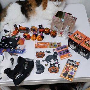 ハロウィーン グッズ 猫グッズいろいろ 23点